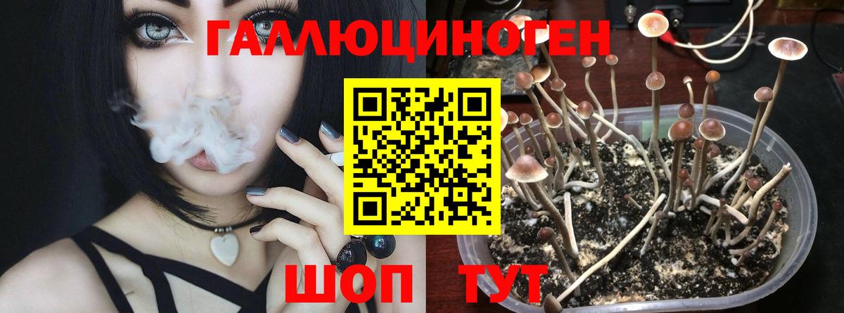 Псилоцибиновые грибы Magic Shrooms Еманжелинск